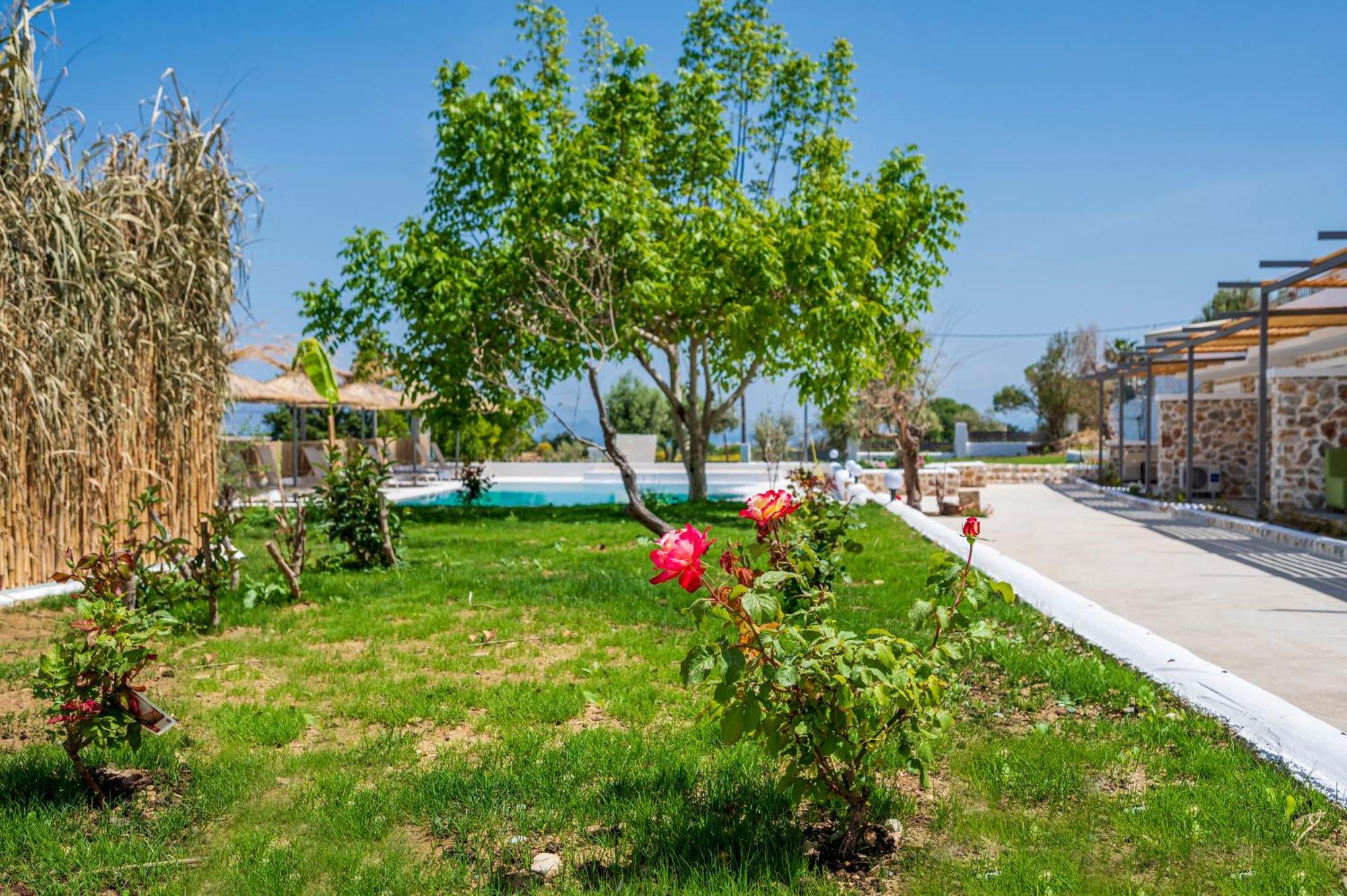 Homes Eva's Garden, Poolside Cozy Havens In Kos * Agios Dimitrios (Kos)